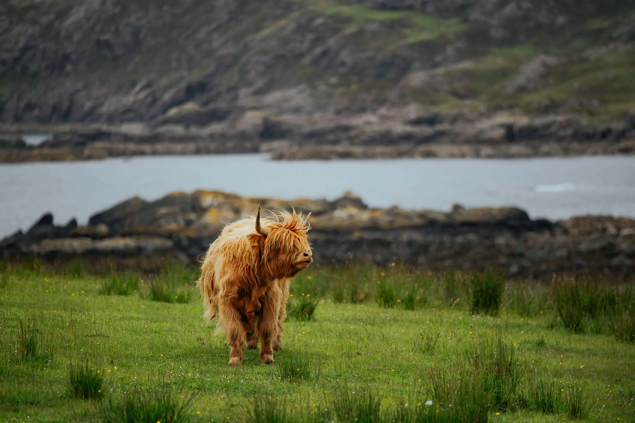 Schottland Rundreise: 8-tägige Rundreise vom Reiseexperten